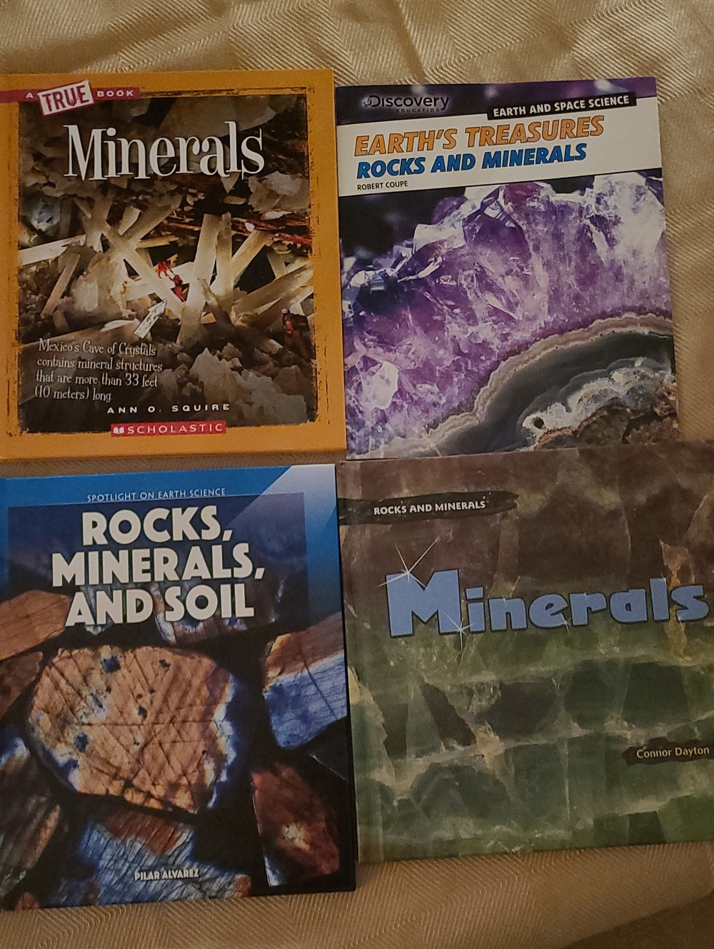 NEW 4 Book Set Rocks And Minerals